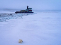 Атомный ледокол "Арктика" прибыл к Северному полюсу