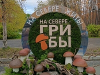 Грибной фестиваль в Мурманске: студенты провели мастер‑класс по приготовлению тарталеток