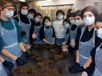 МАСТЕР-КЛАСС ПО ПЕРЕРАБОТКЕ МОРСКОГО ЕЖА