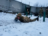 Кубок военного комиссариата